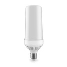 Светодиодная лампа Mercury AL-CL02-0100