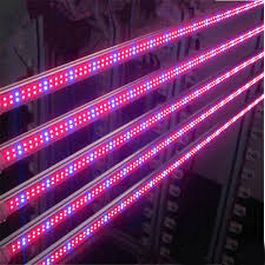 ФИТО Лампа светодиодная ЛД-27-25w-1200мм,  (БИО) Республика Беларусь