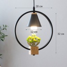 Светильник светодиодный подвесной Астерия MMD-LED A042-2-1xE27, черный, Home Light