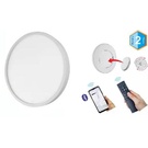 Светодиодный настенно-потолочный светильник с управлением Flora 2.4G Infinite dimming-28W
